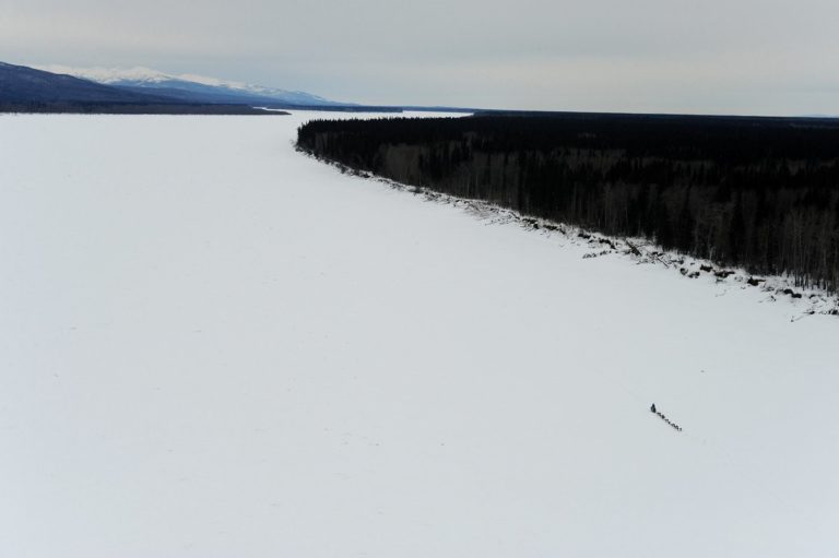 Meaning of Landscape and Dog Musher on the Yukon