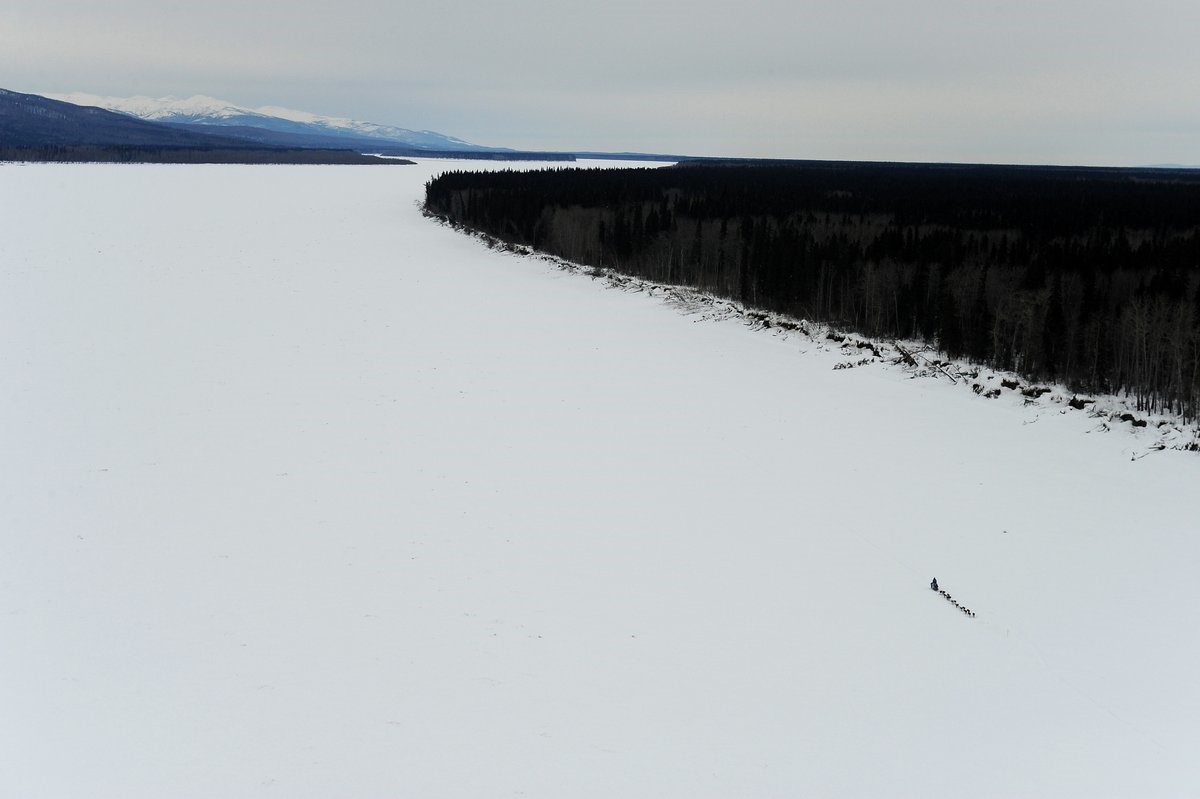 Musher on Yukon by Bob Hallinen ADN