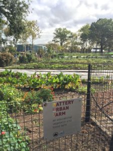 NYC Battery Urban Farm