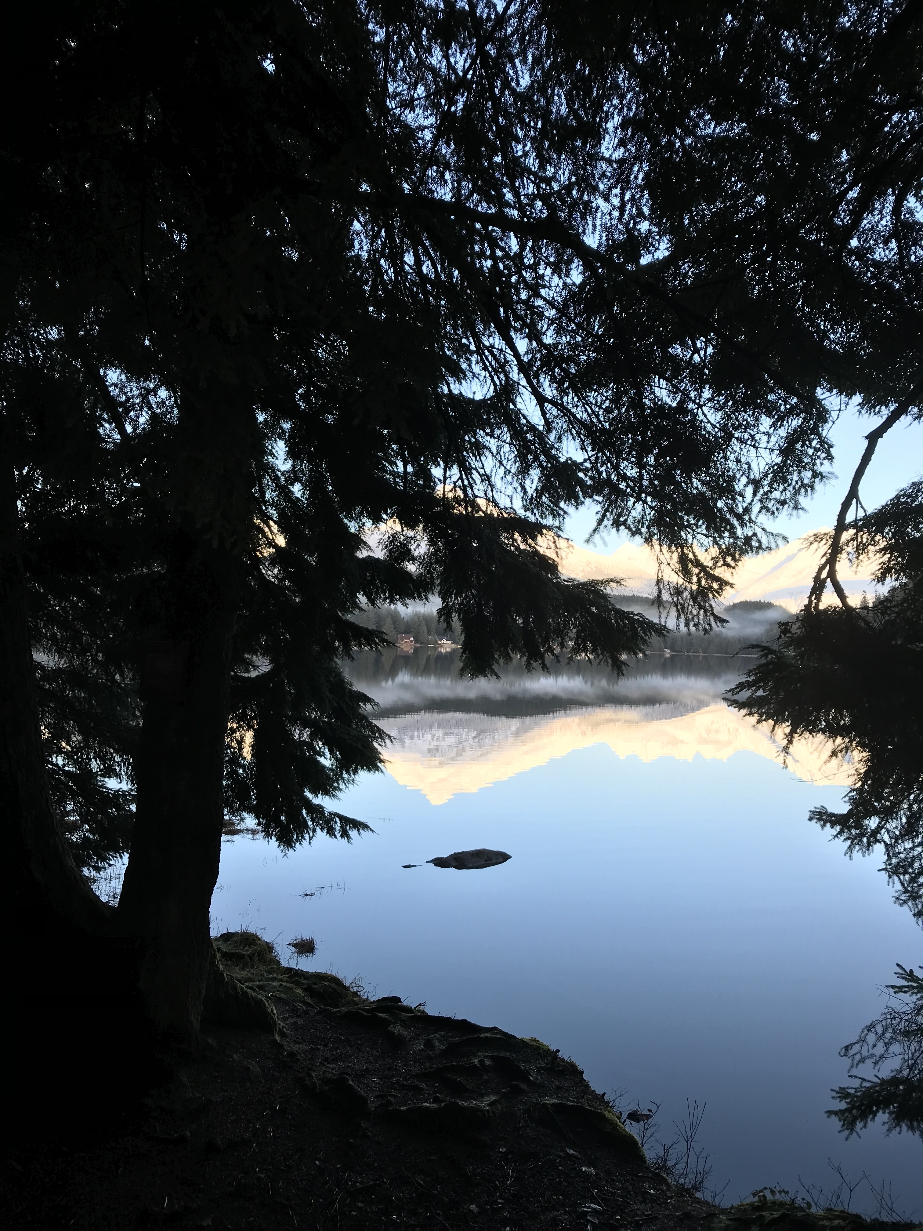 Auke Lake Reflections